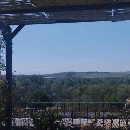 科爾多瓦My Small Penthouse With Views.Tourism & Tranquility & Sun公寓 外观 照片
