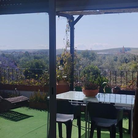 科爾多瓦My Small Penthouse With Views.Tourism & Tranquility & Sun公寓 外观 照片